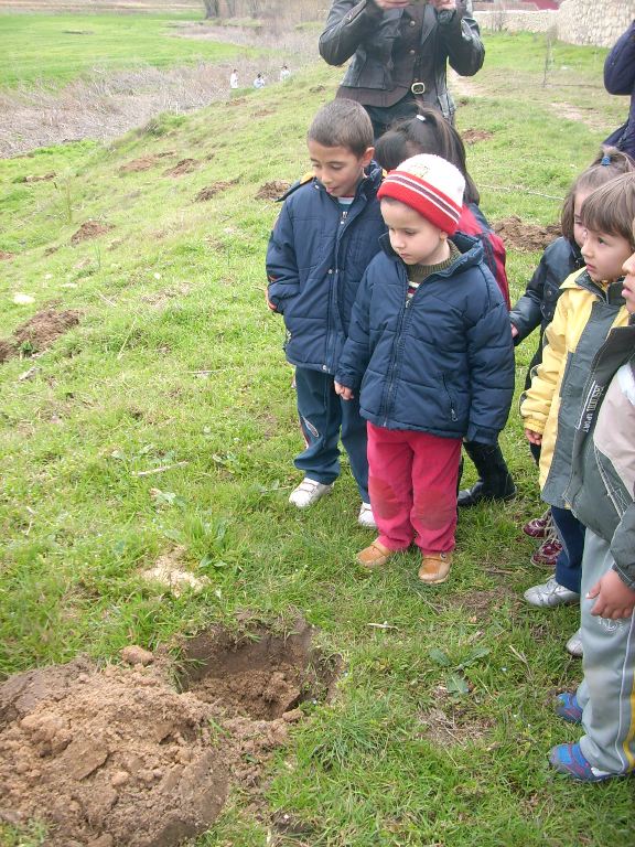 Día del árbol
