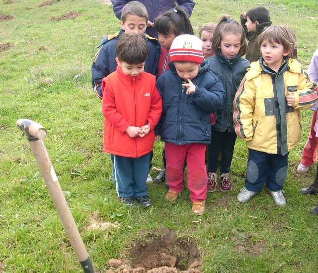 Día del árbol